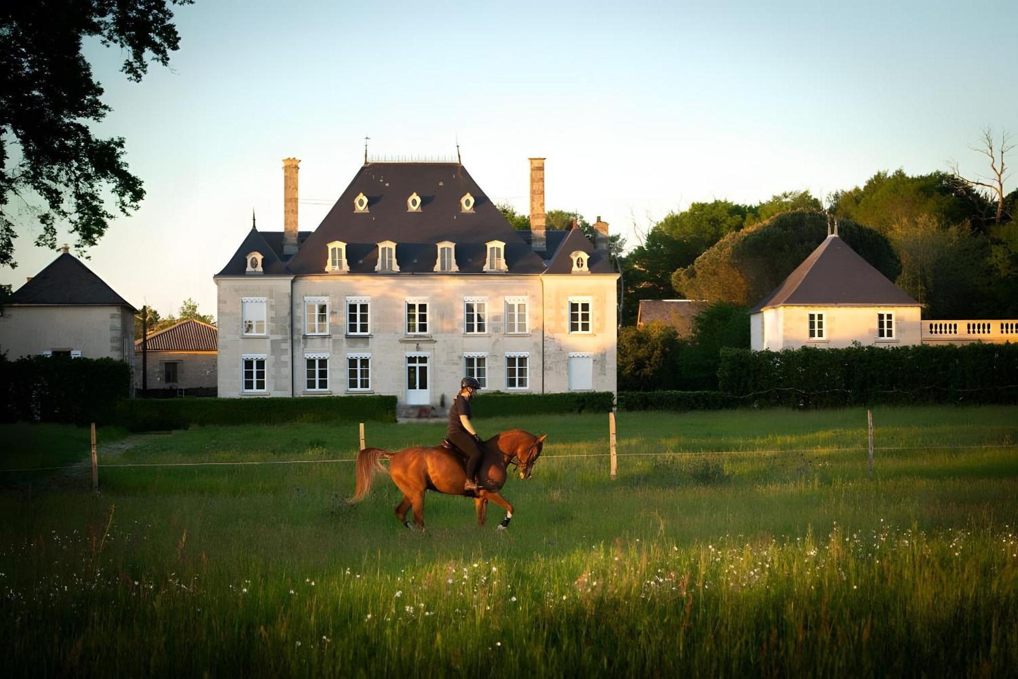 Domaine De La Briouse Bed & Breakfast Sanxay Ngoại thất bức ảnh