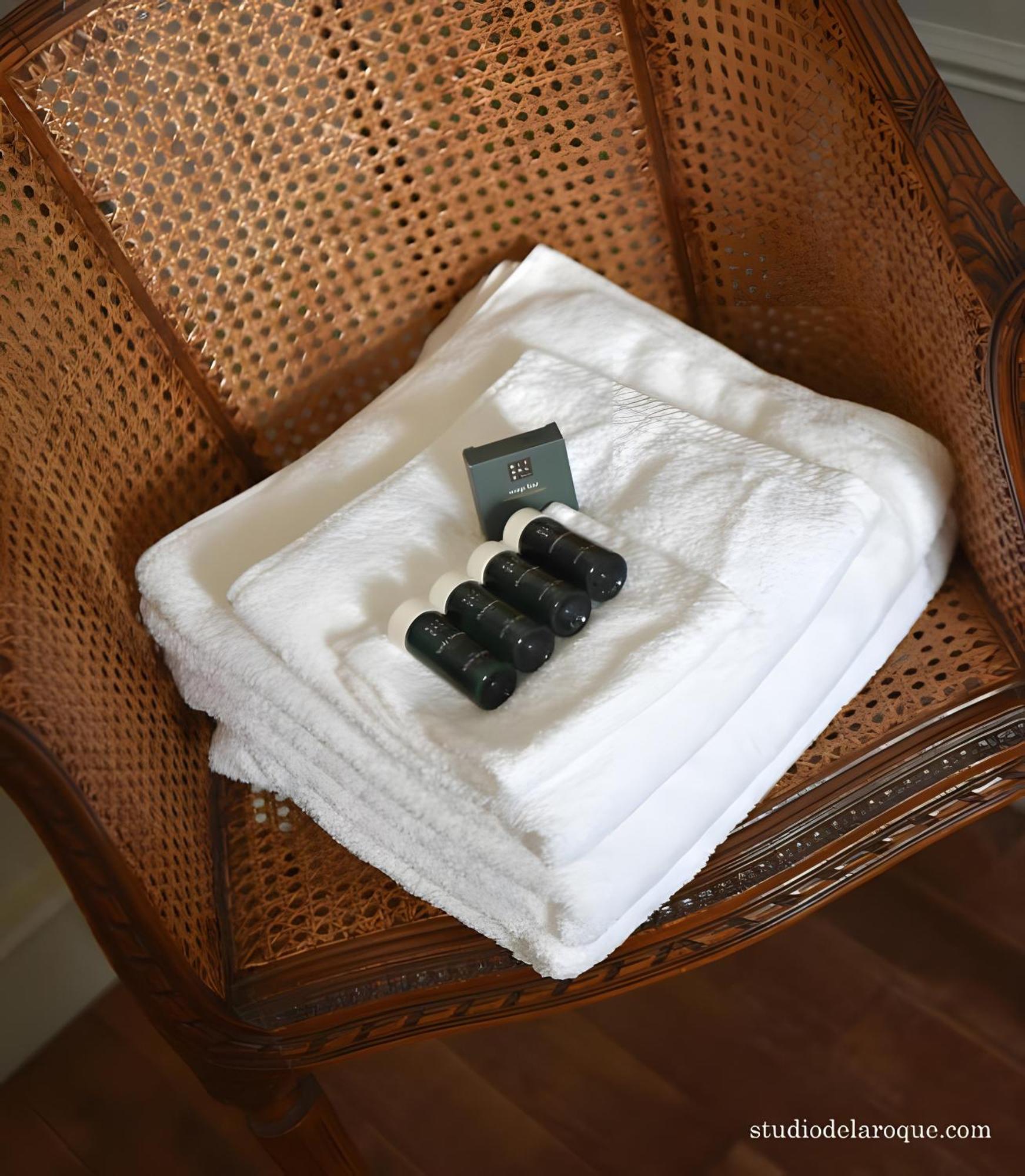 Domaine De La Briouse Bed & Breakfast Sanxay Ngoại thất bức ảnh